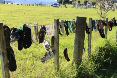 Am Ende des Walkes in Aotea =)