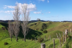 Blick auf Whangeruru