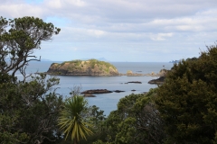 Tutukaka Walk