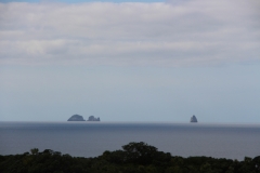 Inseln vor Tutukaka-Coast