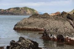 Gut zu sehen: Ebbe und Flut