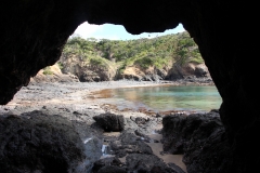 Höhle an der Tutukaka-Coast