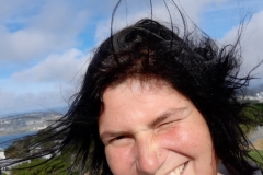 Sturmfrisur auf dem Victoria Lookout in Wellington