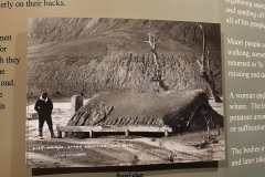 Impression aus dem "buried village" Te Wairoa - Museum