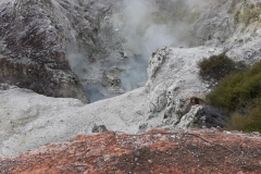 Impressionen aus Wai-O-Tapu