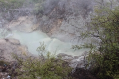 Impressionen aus Wai-O-Tapu
