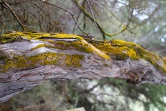 Impressionen aus Wai-O-Tapu