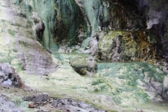 Impressionen aus Wai-O-Tapu