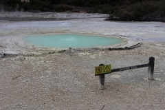 Impressionen aus Wai-O-Tapu