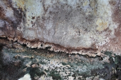 Impressionen aus Wai-O-Tapu