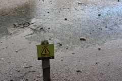Impressionen aus Wai-O-Tapu