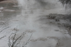 Impressionen aus Wai-O-Tapu