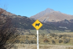 Achtung gefährliche Tiere kreuzen =)