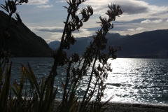 Lake Te Anau