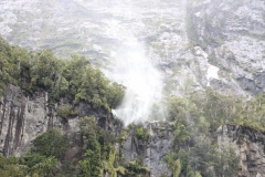 Wasserfall, der nach oben fällt - davon gibt es gefühlt hunderte in Milford Sound