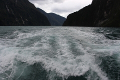 Milford Sounds