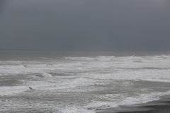 Ocean & Regen