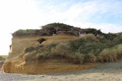 Sandhaus
