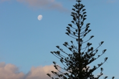 der Mond ist aufgegangen