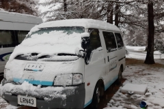 Bessie im Schnee