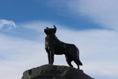 Statue am Lake Tekapo - als Anerkennung für die Arbeit der Rettungshunde in den Südalpen