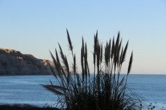 Cape Palliser