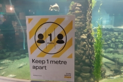 Mal ein Plakat für euch fotografiert - das sieht man hier an jedem Laden etc..