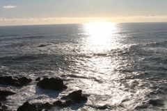 Cape-Foulwind
