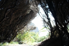 "Eingang" zum Cape Farewell