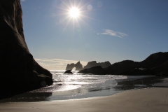 Wharariki beach
