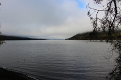 Lake Rotoroa