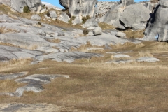 Castle Hill