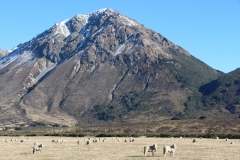 Am Arthurs Pass