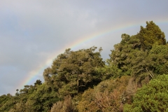wie gesagt:Tage in den Catlins waren Tage voller Regenbögen