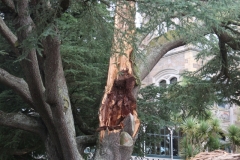 im Schlossgarten