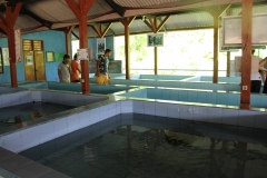 Turtle-Centre