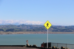 Aussichtspunkt in Napier