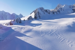 Franz Josef Glacier