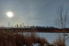 Sonne überm Cospudener See