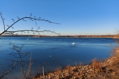 Kulkwitzer See - Nordufer