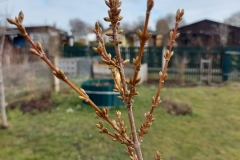 Bald wirds gelb...