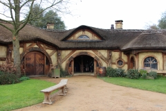the green dragon