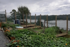 Gemüsegarten