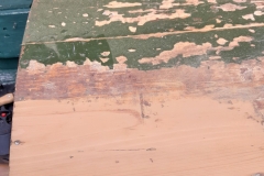 Unter dem Grün war ein Braun und dann endlich: Holz!