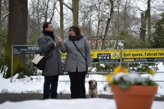 Winterspaziergang