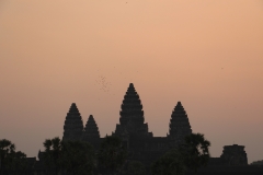 Morgengrauen in Angkor Wat