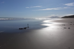 An diesem Strand habe ich den Hot spot gefunden und beginne zu graben...