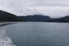 Marlborough sounds - erste Ausläufer der Südinsel