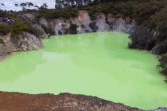 Impressionen aus Wai-O-Tapu