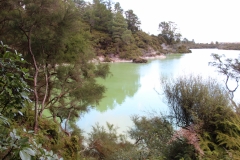 Impressionen aus Wai-O-Tapu